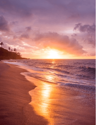 Francis Lynch Obituary